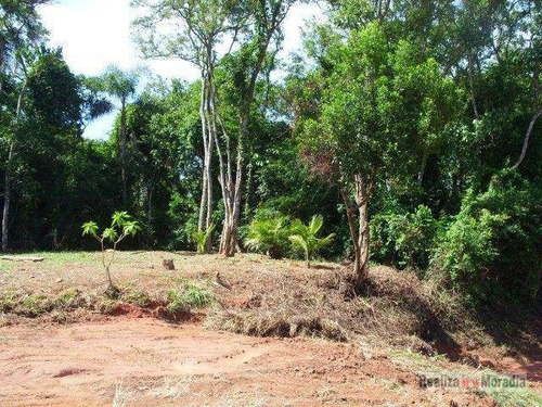 Imagem 9 de 9 de Terreno 1.368 M² - Planos Com 2 Platores - Te0361