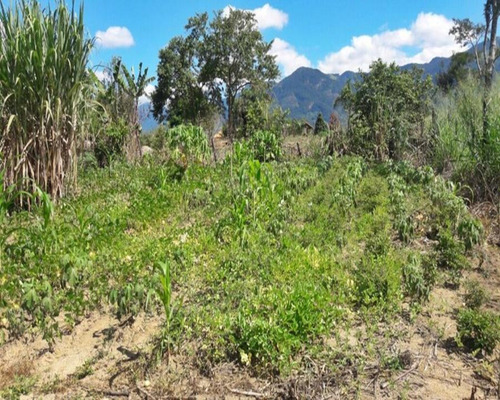 Imagem 10 de 18 de Terreno Em Santa Cândida - 200 - 34209886