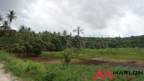 Imagem 14 de 14 de Terreno Em Nizia Floresta