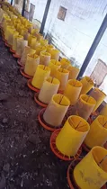 Comprar Comederos Tolvas Pollos Gallinas