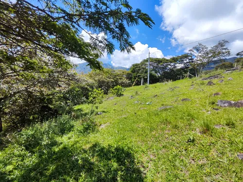 Lote En Girardota En El Limonar