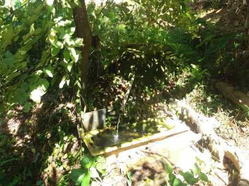 Imagem 13 de 30 de Chácara À Venda, 4 Quartos, 10 Vagas, Jaqueline - Belo Horizonte/mg - 883