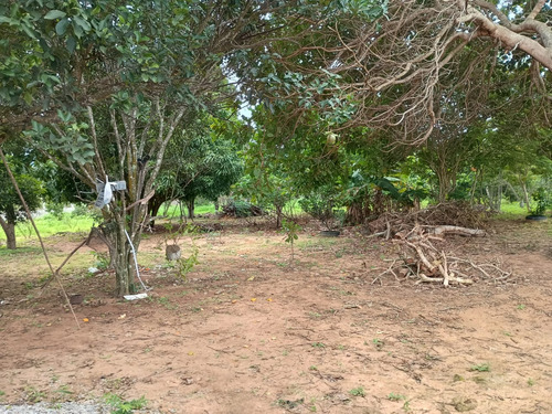 Chácara Com Casa Três Quartos Sala De Estar Cozinha E Dois B