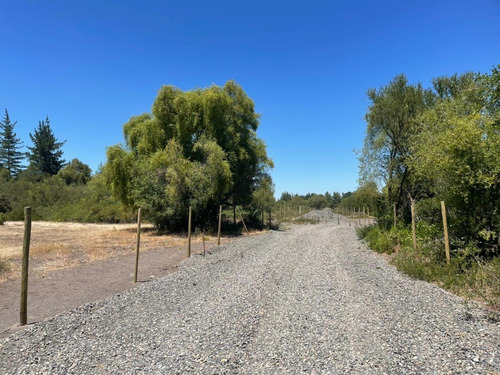 Imagen 3 de 10 de Parcela En Yumbel De 15.000m2