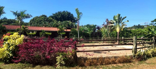 Imagen 14 de 15 de Rosaura Cortez Vende Finca En Safari Carabobo