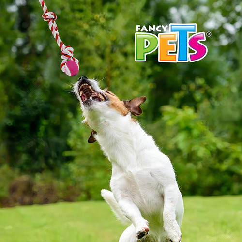 Nudo Doble Bola Tenis 45 Cm For Perros Color Varios