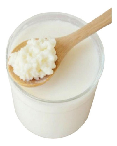 Kefir | Granulos De Kefir Leche - Unidad a $22000