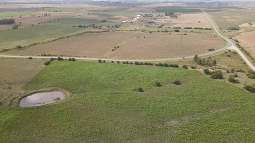Campo En Venta De 150 Ha Agrícola Ganadero En Florida (ref: Atm-7901)