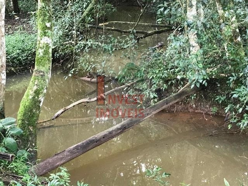 Imagem 14 de 15 de Chacara - Ref: 4992 - V-4992
