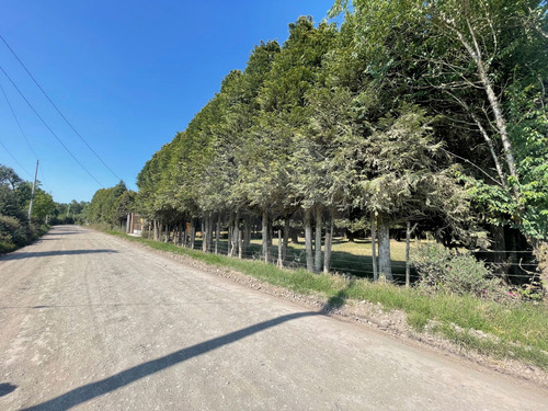 Terreno Residencial En Venta En Catalina