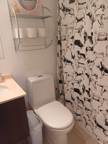 Arriendo Sector Llacolén 3 D-2b Amoblado