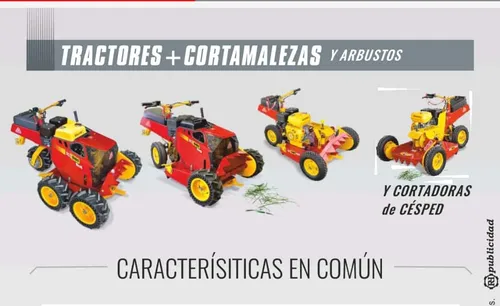 Motocortadora De Césped, Malezas Modelo Evo Motor B&s A/m