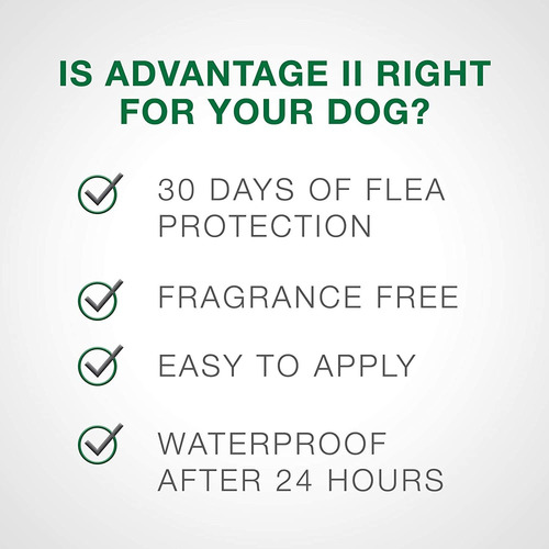 Advantage Ii Large Dog Flea Treatment, Flea Treatment For La