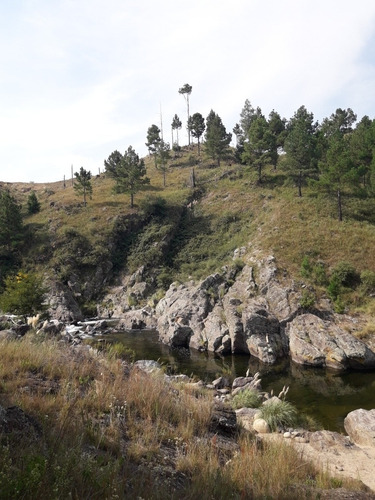 Imagen 6 de 14 de Chacra En Venta En Yacanto, Cordoba (15 Has)