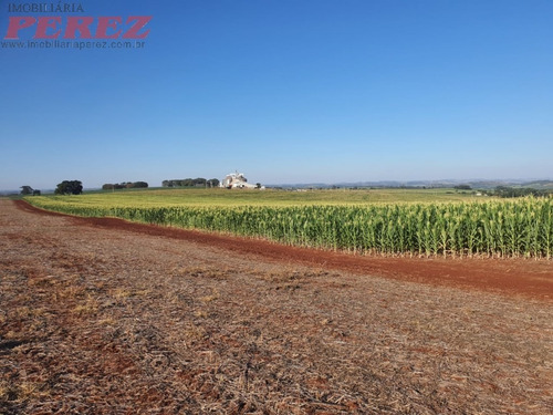 Imagem 3 de 24 de Chácaras_sítios_fazendas Para Venda - 13650.8047