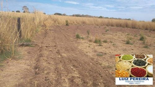 Fazenda À Venda Em Gurupi - To - De 20 Alqueirões (pecuária) - 1494