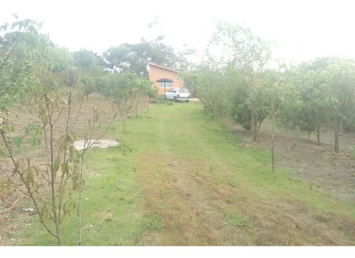 Chácara Permuta Com Casa Em Itapetininga Boa Localização