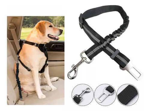 Cinturon De Seguridad Perros