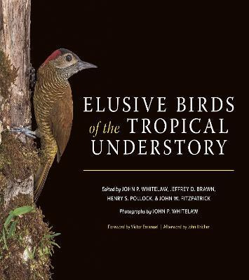 Libro Elusive Birds Of The Tropical Understory - John Kri...