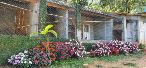 Imagem 13 de 30 de Chácara 5053m2, Casa Sede Com 135m2, 1 Suíte Com Closet, Varanda, 1 Casa De Madeira Com 70m2, 3 Dormitórios, Piscina, Churrasqueira, Lago, Campo Grama - Ch00158 - 70130094