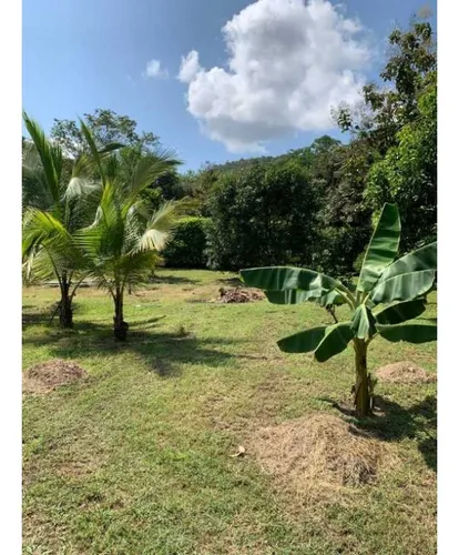 Finca Santa Fe De Antioquia Via A Bolombolo. Se Vende