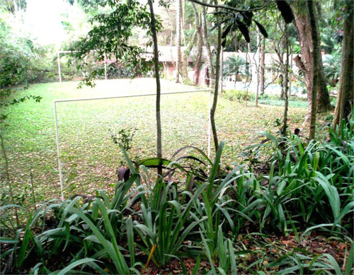 Imagem 23 de 26 de Oportunidade Única, Casa Para Venda, Granja Viana - Reo527630