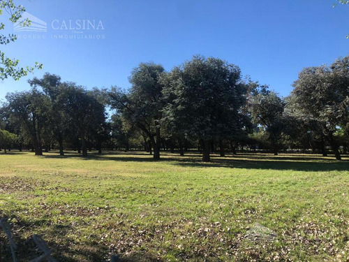 Terreno En Venta Villa Allende