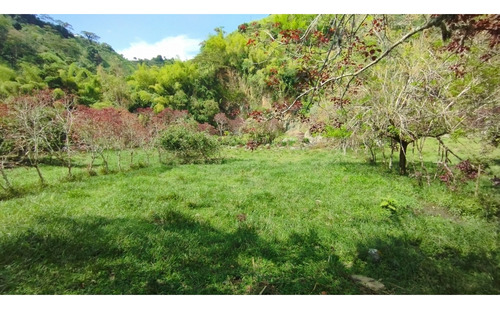 Lote En Venta En Rio Claro Villamaría | Lotes En Venta