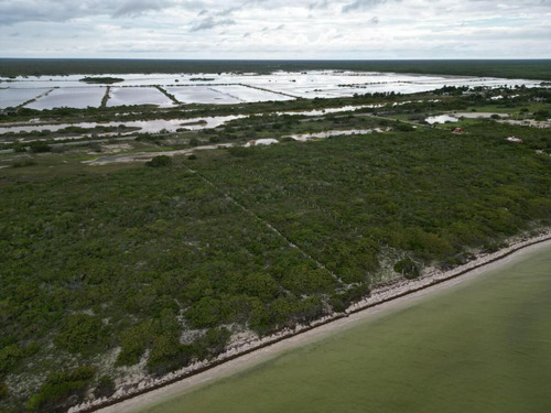 Terreno En Venta, Frente A Playa En San Crisanto, Yucatán