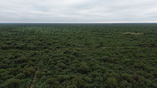 1.070 Has Ganaderas - Guanaco Muerto, Zona Cruz Del Eje