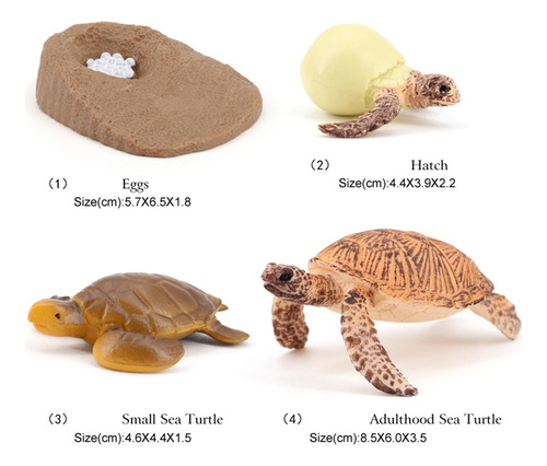 Tortuga De Plástico Ciclo De Animal Tortuga Marina 2423