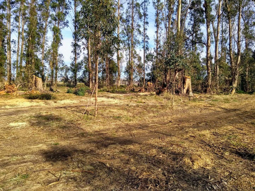 Imagen 3 de 15 de Quinta En Venta En Balcarce