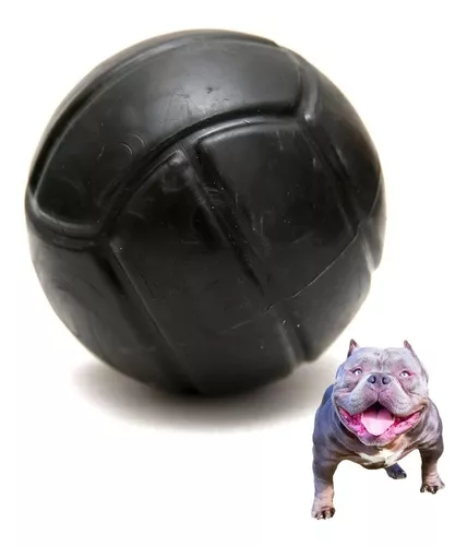 Bola de luz flash, brinquedo de bolas brilhantes, música pulando brinquedo  de bala de dança, brinquedo de cachorro bola de futebol para jogar corrida  ao ar livre, brinquedo de bola de desenvolvimento