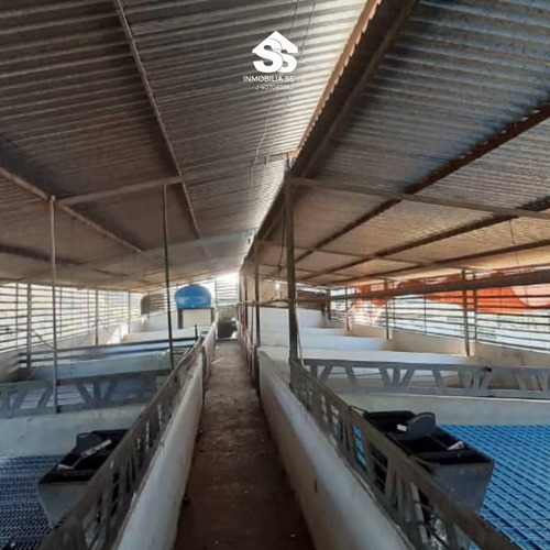 Finca En Venta - Guárico - Granja De Porcina