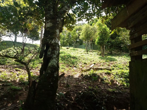 Imagem 16 de 24 de Casa À Venda, 2 Quartos, 8 Vagas, Batistini - São Bernardo Do Campo/sp - 47785