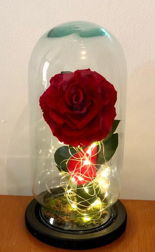 Imagen 2 de 3 de Rosa Eterna Premium ( Color A Elegir ) Forever Bloom Luz Led