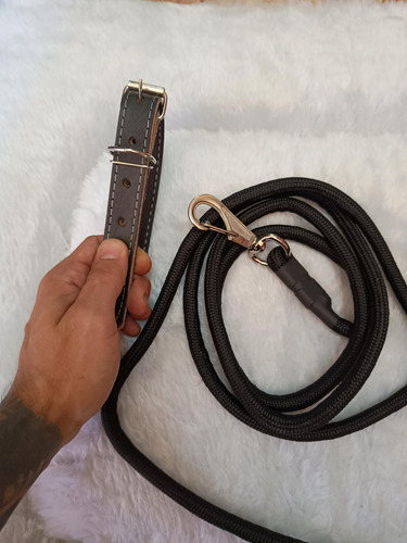 Coleira Para Cachorro + Guia Com Super Liberdade 3 Metros Cor Preto Ossos Tamanho Da Coleira M