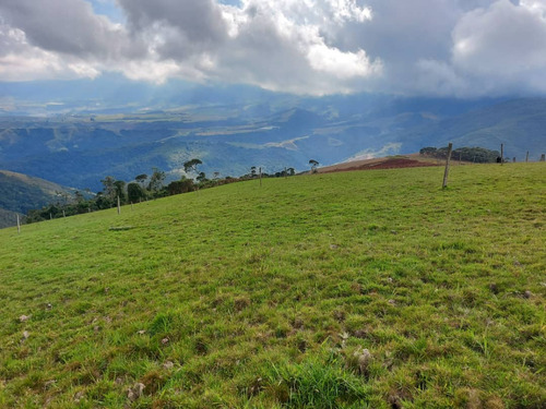 Imagen 21 de 21 de N.m. En Venta Finca En La Grita 1.500$ La Hectárea