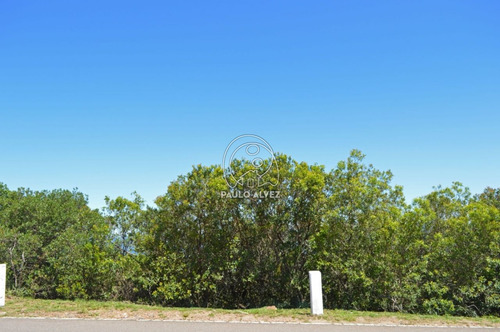 Imagen 7 de 14 de Terrenos-venta-cerro-san-antonio-te216