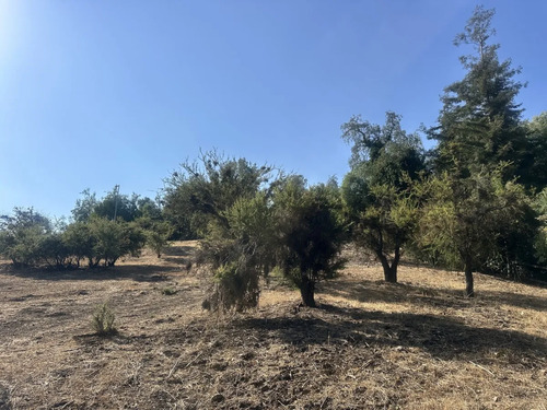 Valle Escondido / Sitio Casi Plano