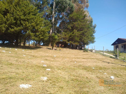 Imagem 14 de 17 de Chácara À Venda, 3090 M² Por R$ 250.000,00 - Vila Seca - Caxias Do Sul/rs - Ch0001