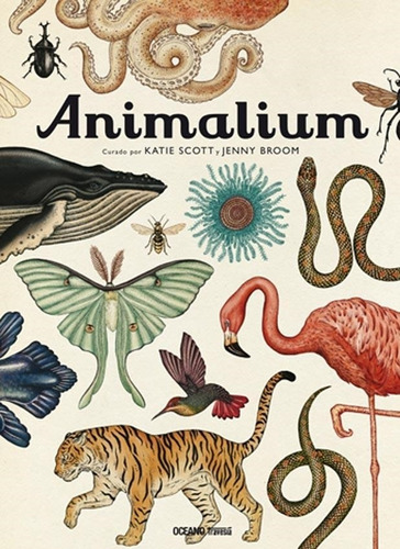 Animalium-scott, Katie-oceano Mexico