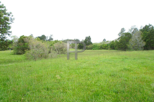 Imagen 10 de 10 de Campo En Venta Laguna Del Sauce 4 Hectáreas