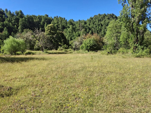 Inversión En Curarrehue 9 Ha Con 330 Mt Orilla De Río