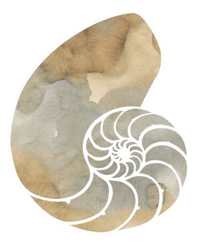 Imagen 4 de 9 de Tríptico Corales Y Caracol Canvas Y Marco Cuadro Decorativo