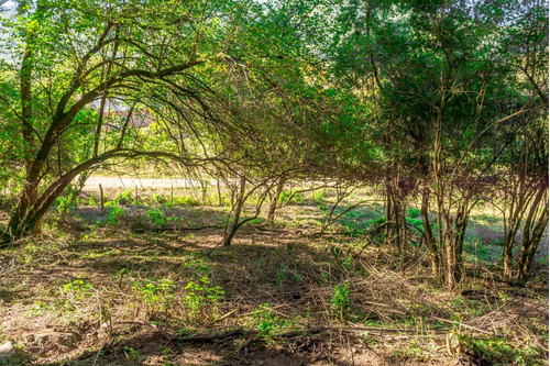 Terreno En Venta Castellanos 4124 M2