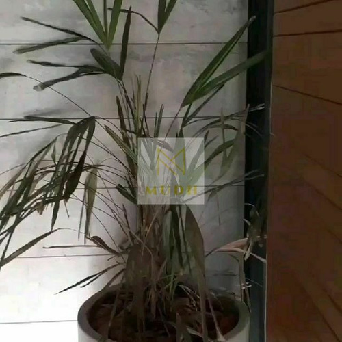 Imagem 4 de 22 de Apartamento À Venda No Bairro Glória - Porto Alegre/rs - 474