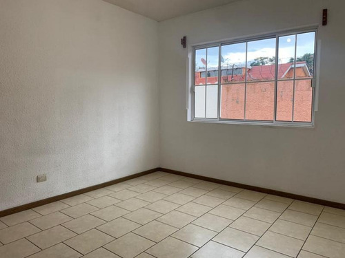 Imagen 8 de 14 de Casa En Venta Centro De San Lucas