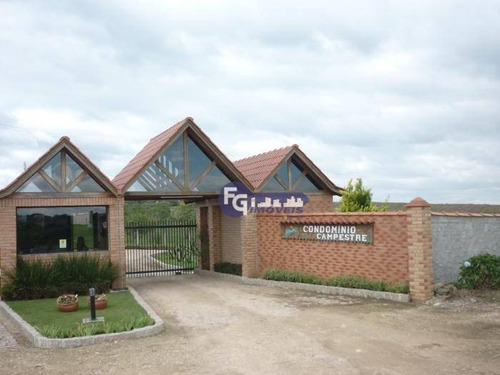 Imagem 21 de 25 de Chácara Com 2 Dormitórios À Venda, 5400 M² Por R$ 319.000,00 - Campestre Da Faxina - São José Dos Pinhais/pr - Ch0013