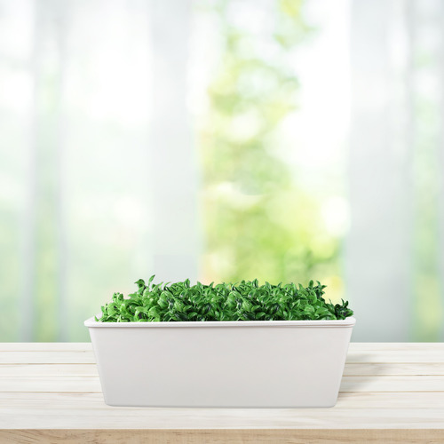 Maceta Con Barandilla Para Ventana: Maceta Para Colgar En Te